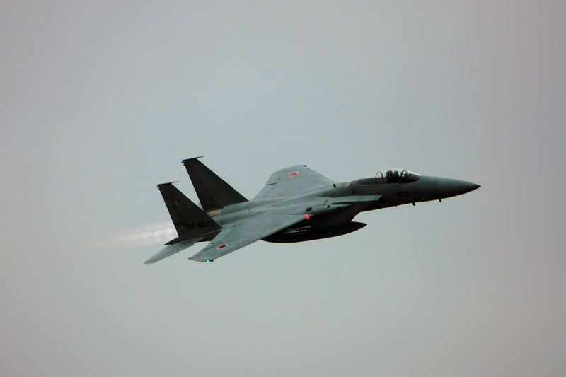 SQ F-15J(628872